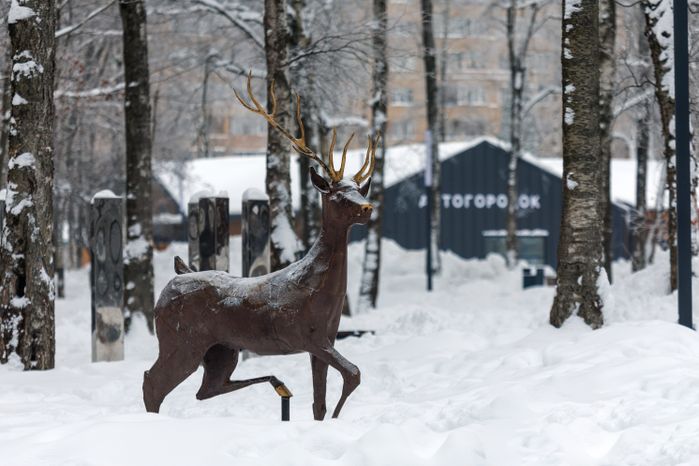 Олень в парке культуры и отдыха города Лобня