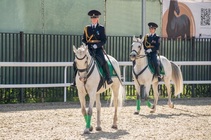 IV Чемпионат русских троек «Крылатое сердце России» в Одинцовском округе