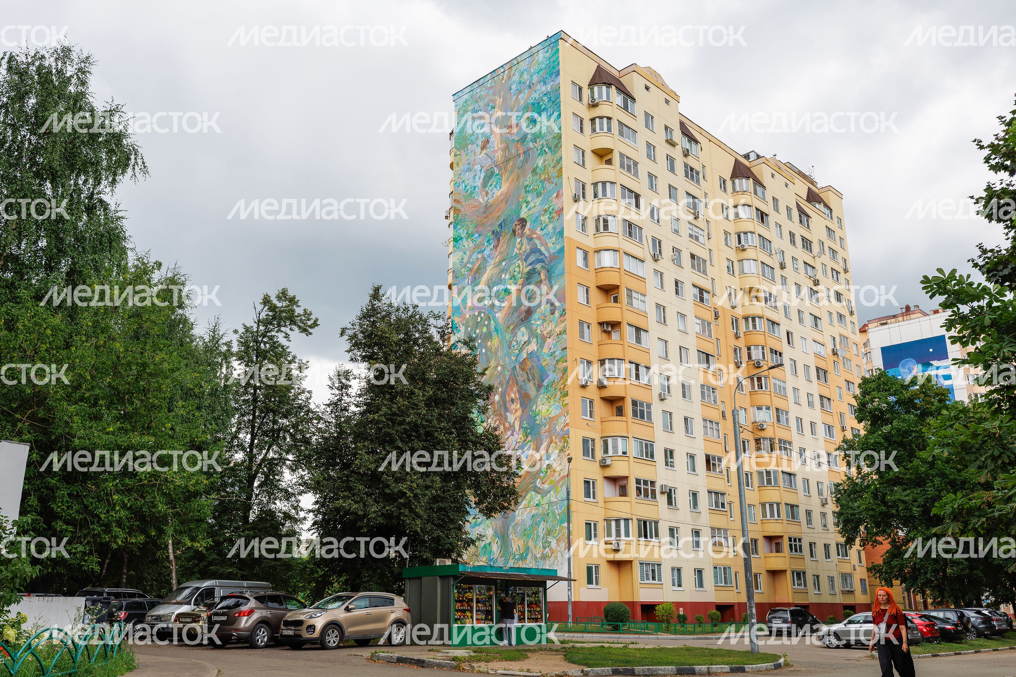 Муралы в Железнодорожном, Балашиха