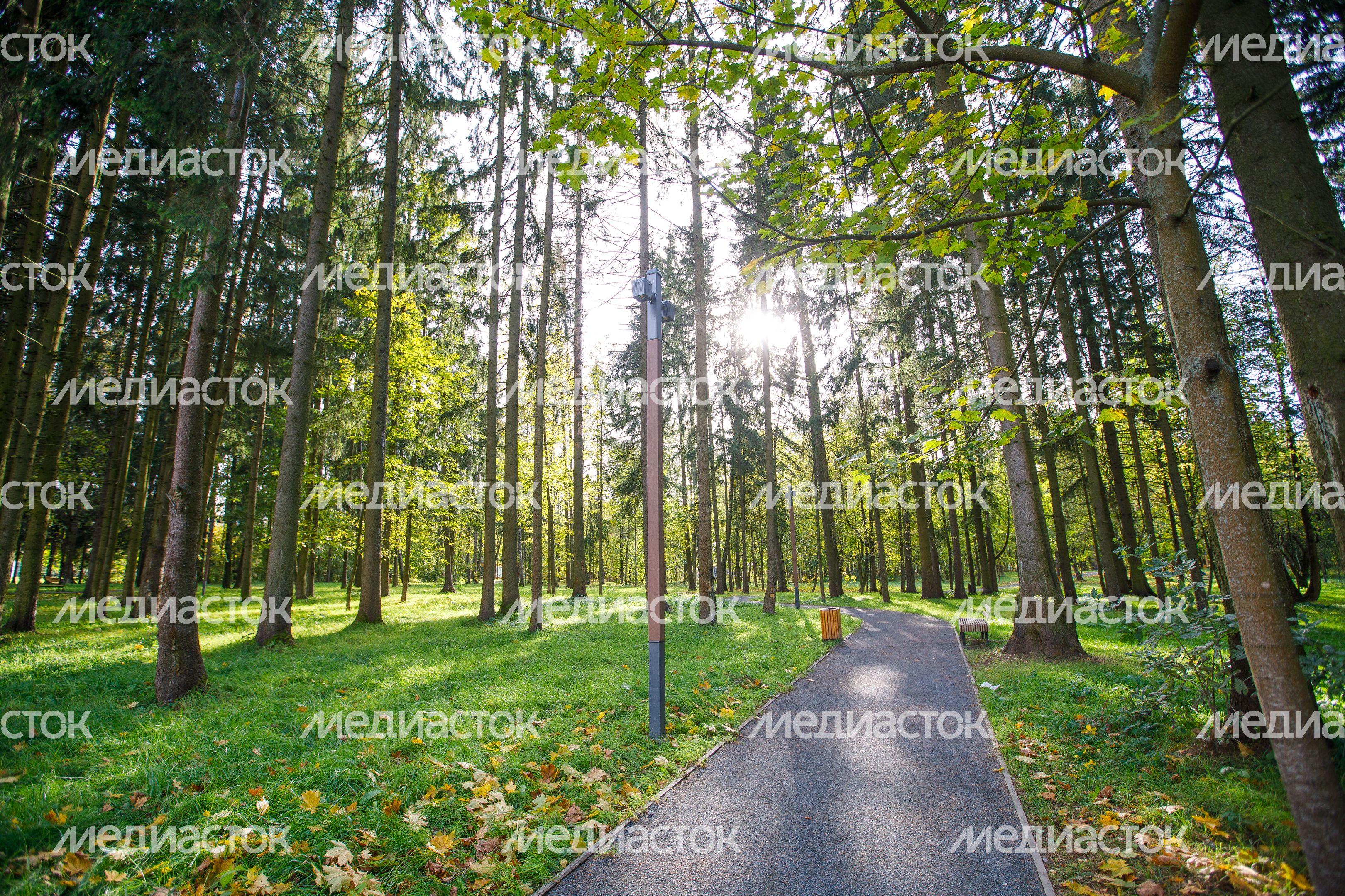 Краснознаменск. Парк «Беличий» Краснознаменск. Парк «Беличий»