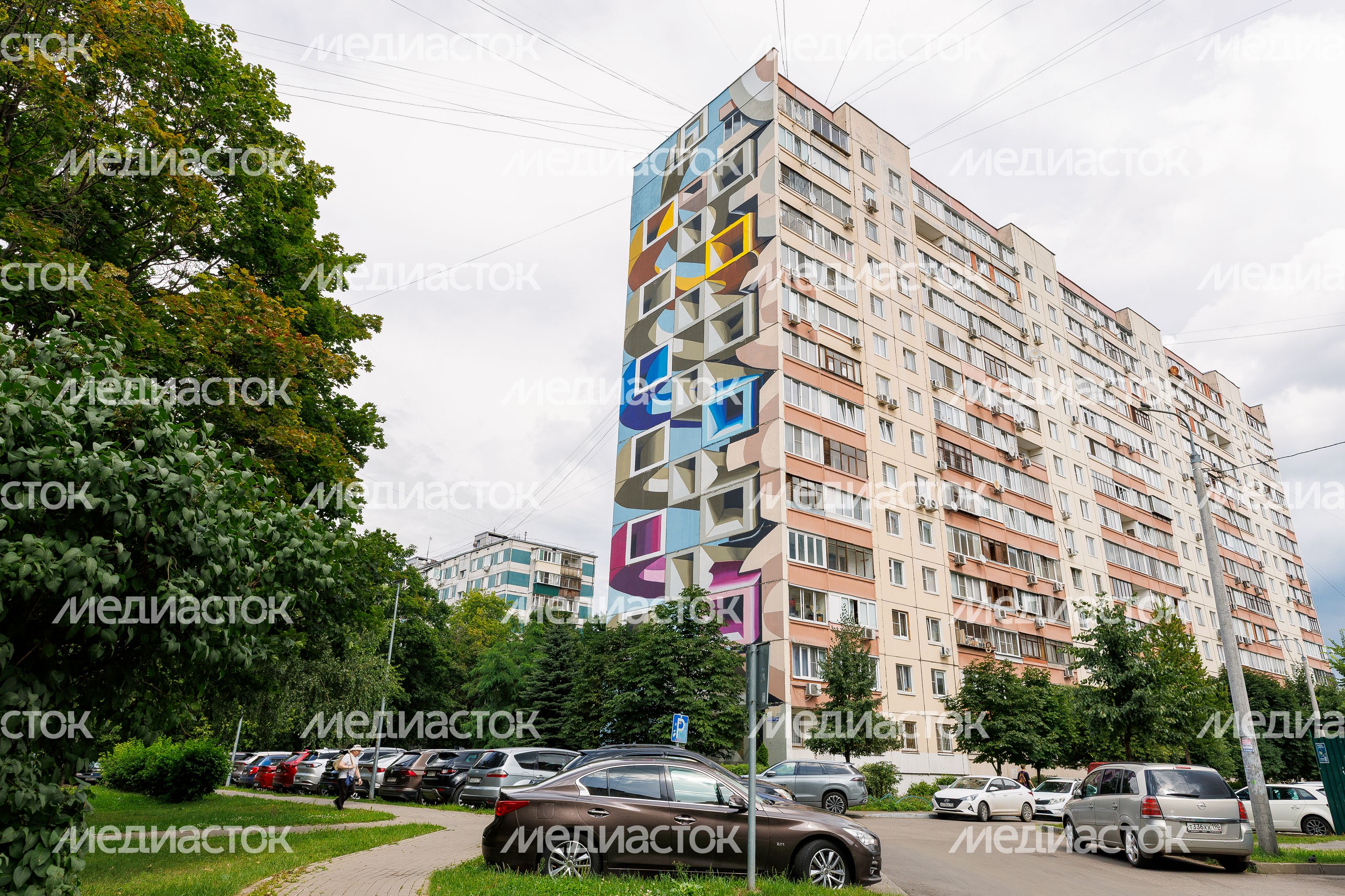 Муралы в Железнодорожном, Балашиха