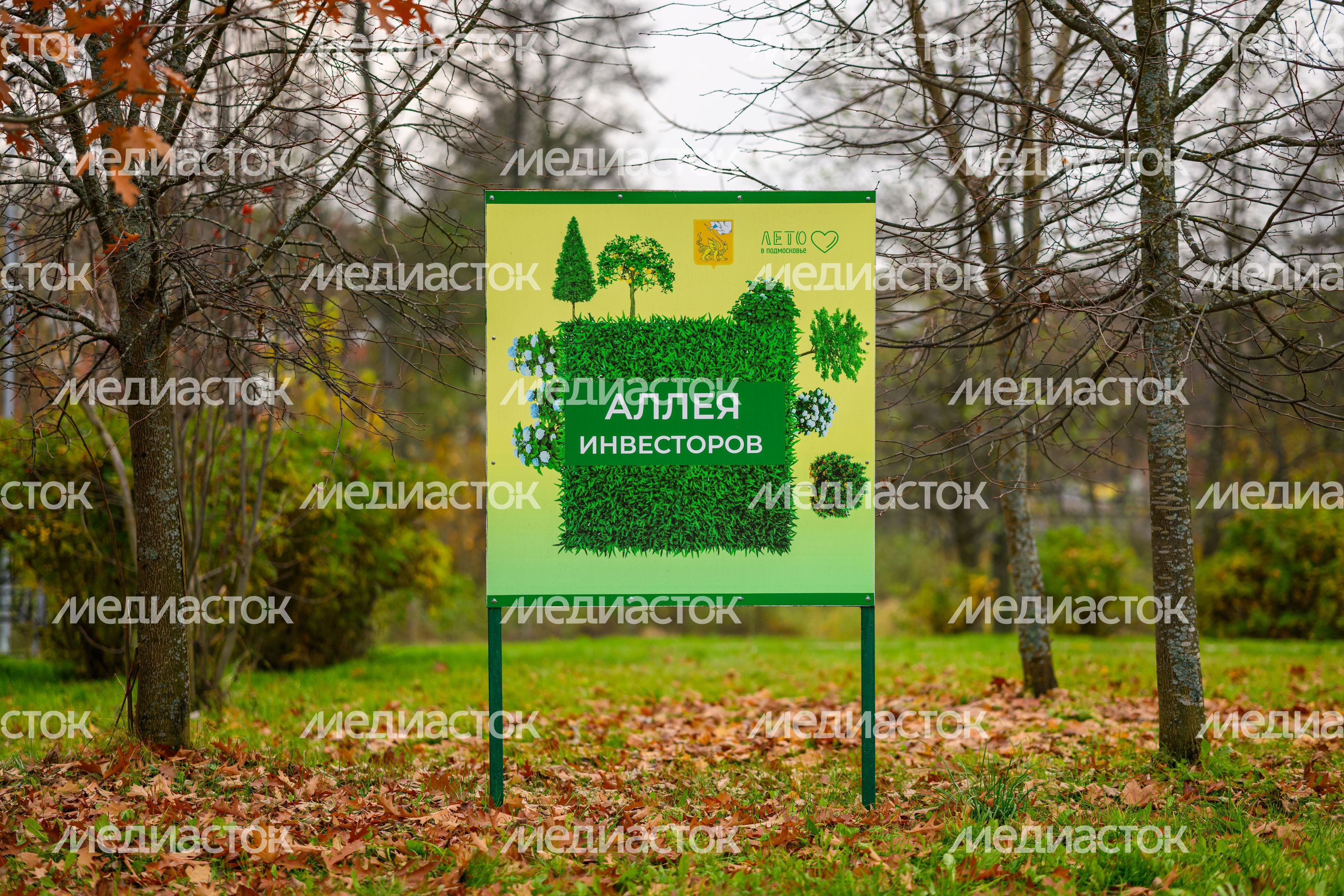 Аллея Инвесторов в парке «200 лет Егорьевску» осенью Аллея Инвесторов в парке «200 лет Егорьевску» осенью