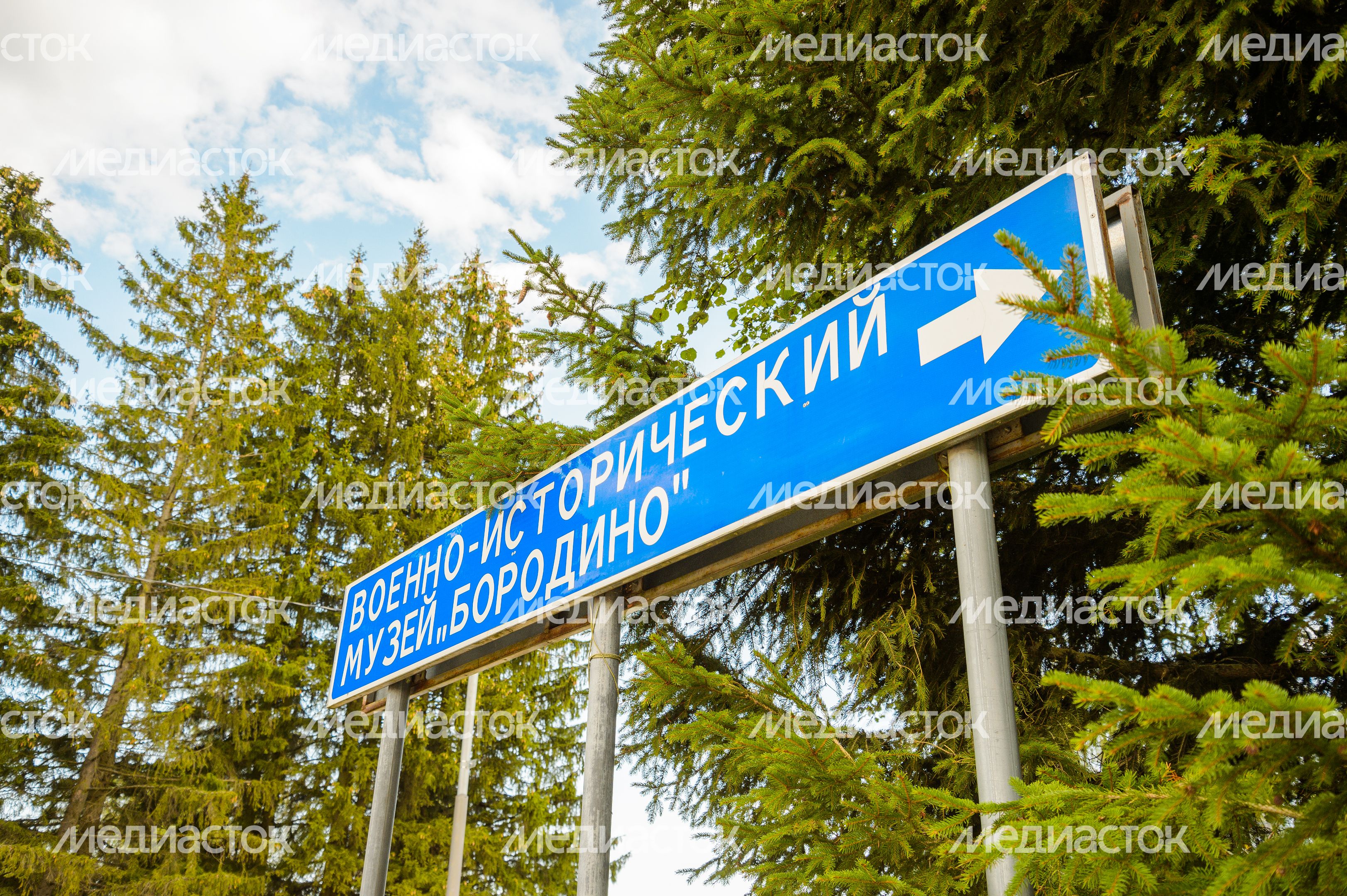 Можайский г.о., Бородино. Реконструкция Бородинской битвы
