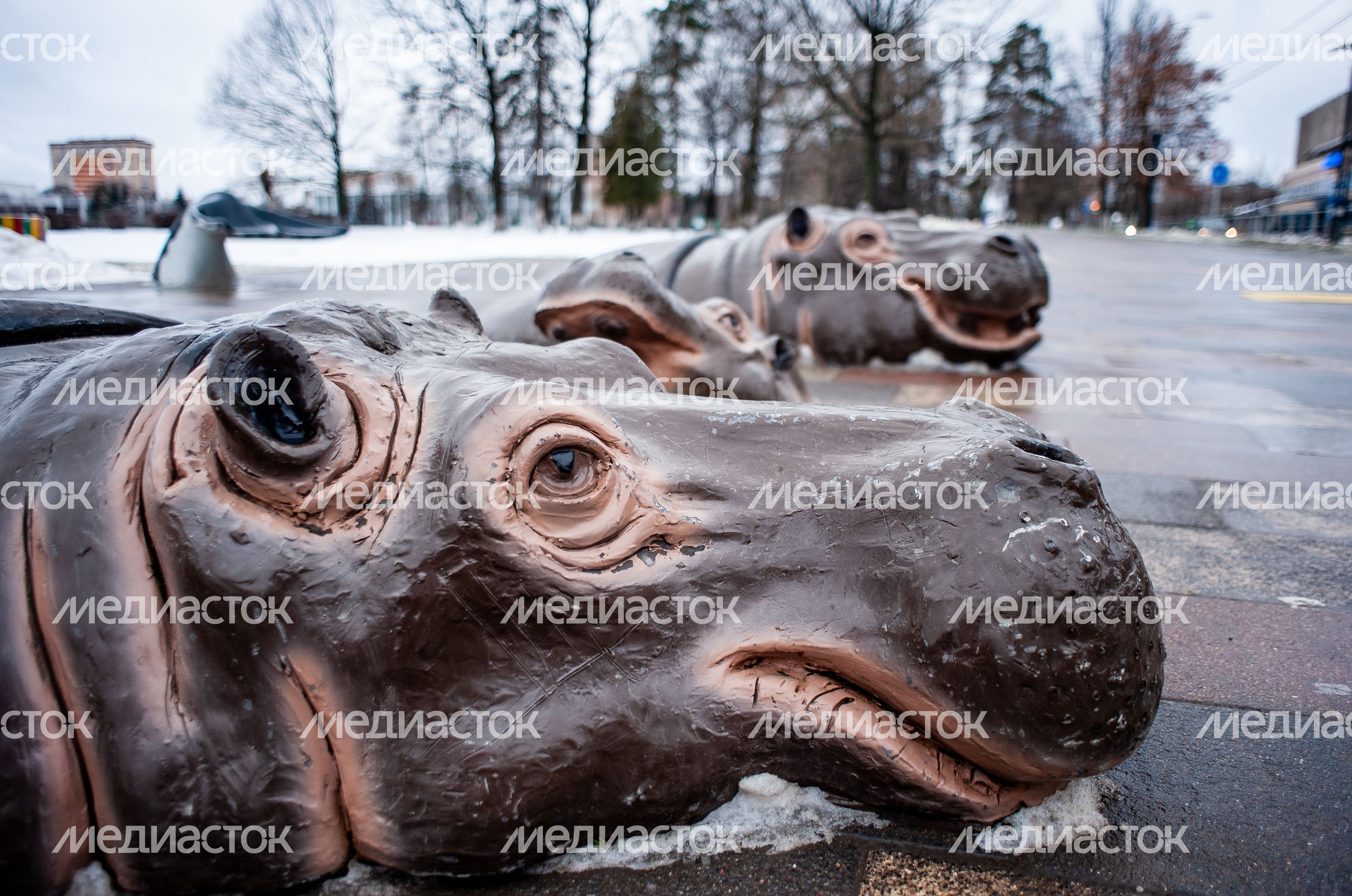 Зимние виды города Одинцово