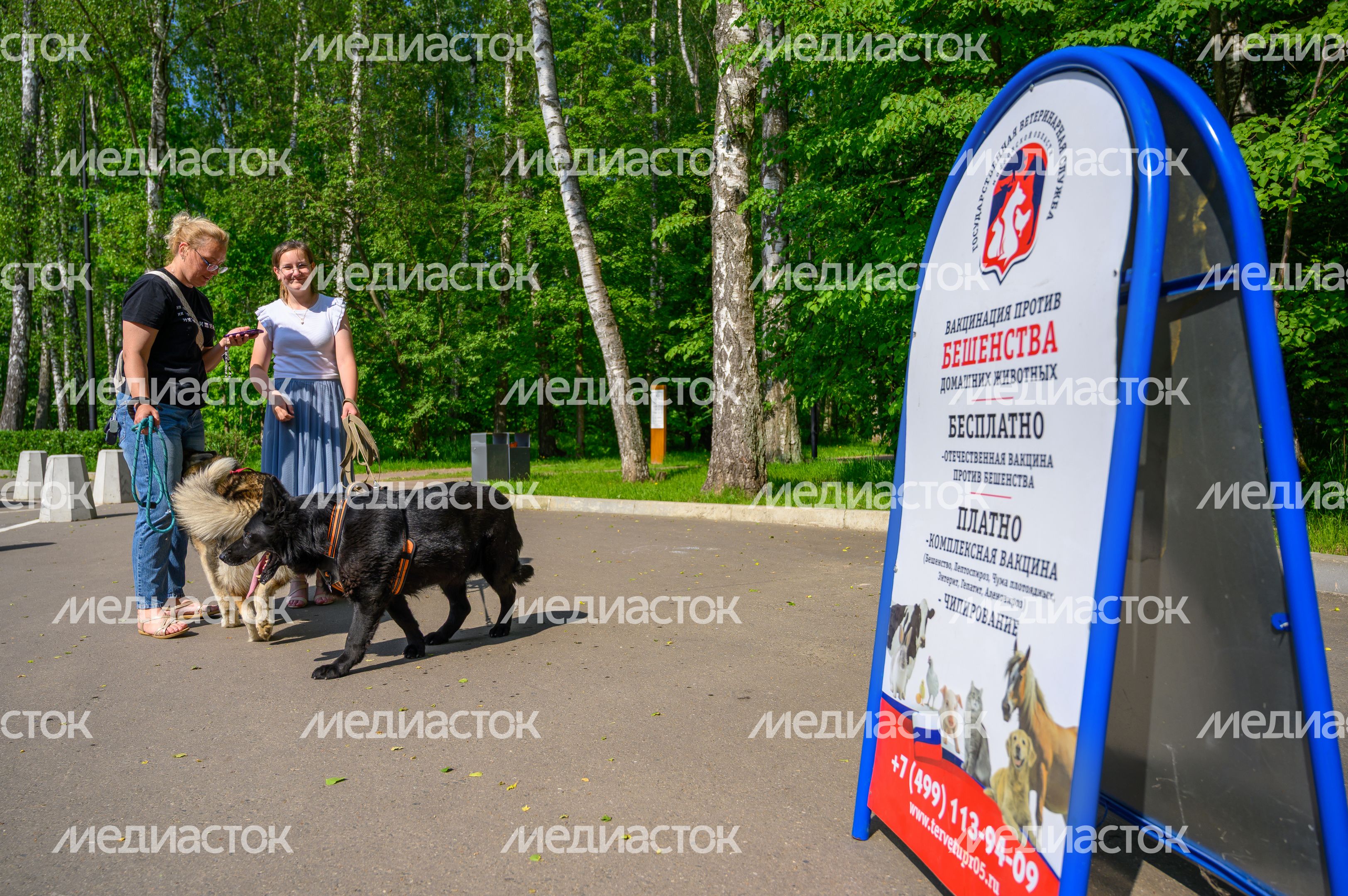 Выездная акция по чипированию и вакцинации животных в парке «Взлет» Домодедово Выездная акция по чипированию и вакцинации животных в парке «Взлет» Домодедово