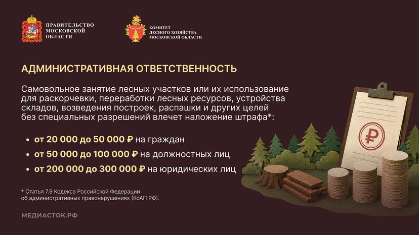 Самовольный захват и использование лесных участков горизонталь 04