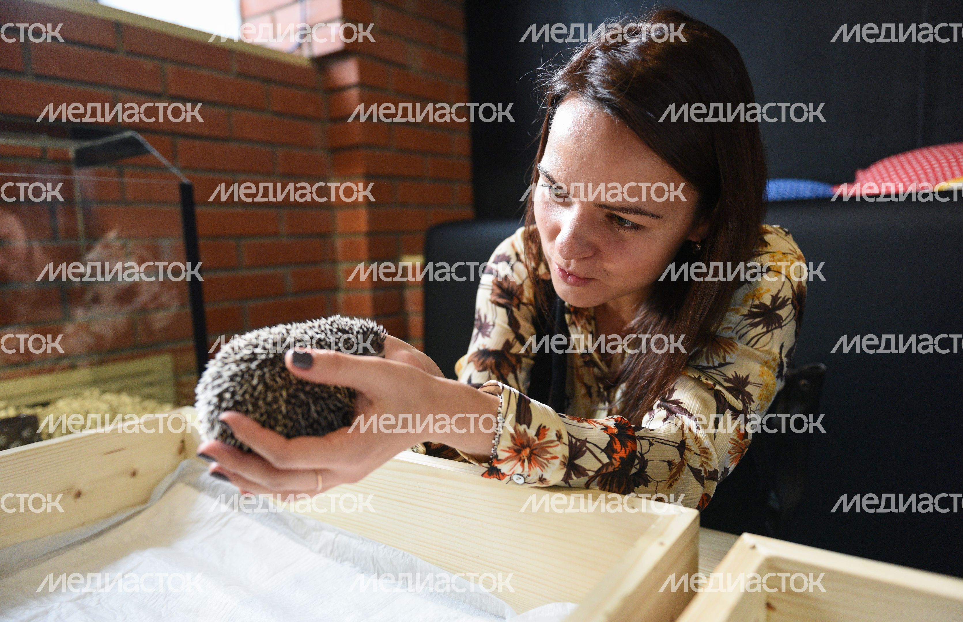 Кафе «Ежеминутка»