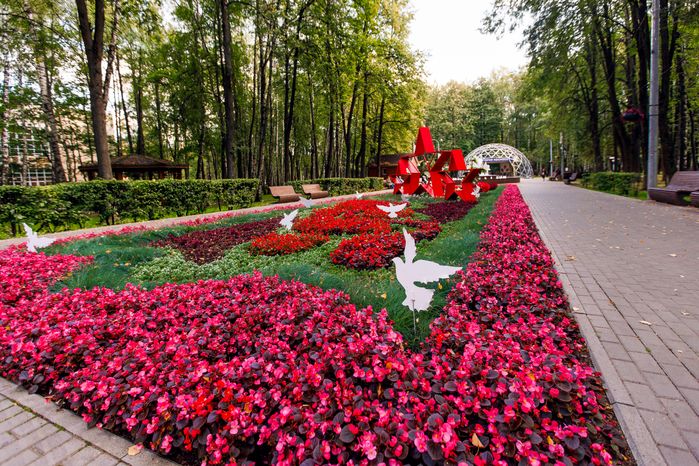 Клумба в Центральном городском парке им. М.И. Калинина в Королеве летом