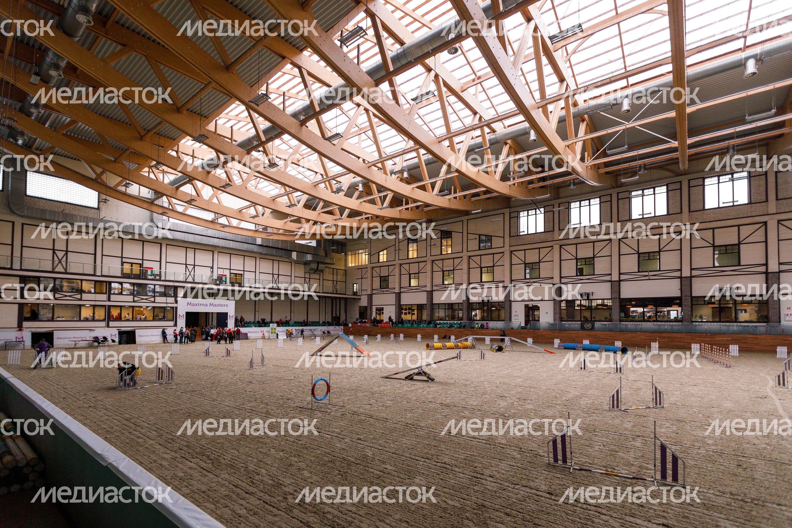 Мастерство дрессировки на соревнованиях по кинологическому спорту «Звезды аджилити» Мастерство дрессировки на соревнованиях по кинологическому спорту «Звезды аджилити»