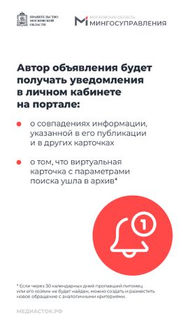 Домашние животные вертикаль 09