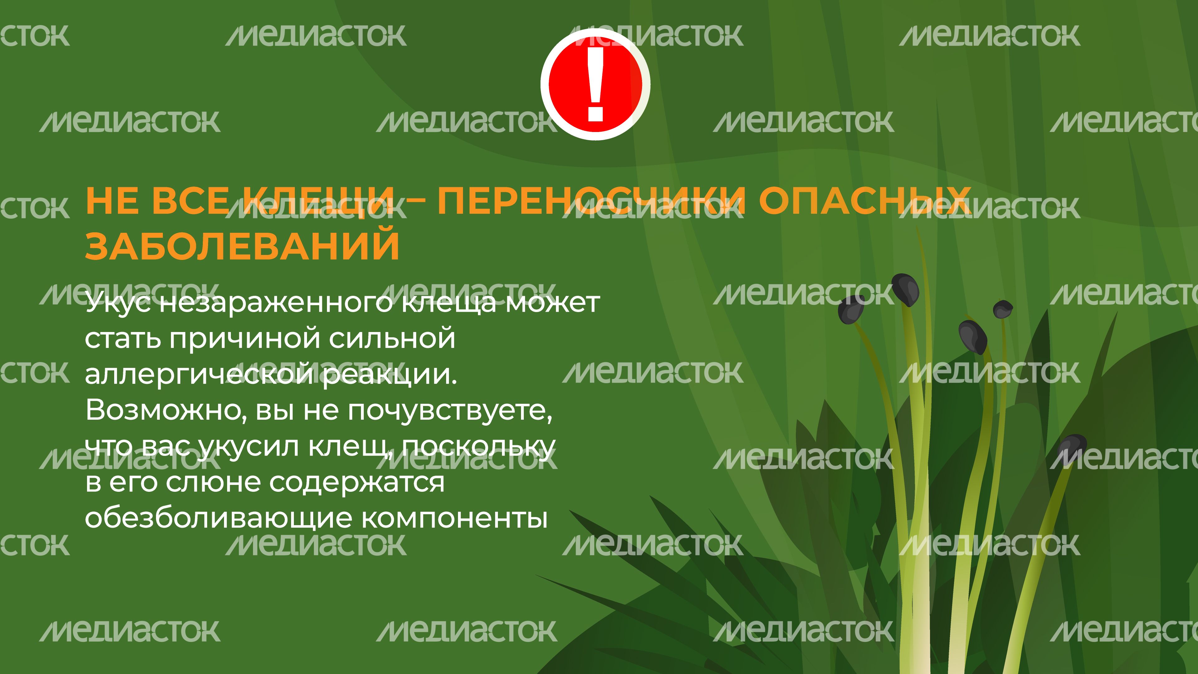 комлесхоз_клещи_гор_7