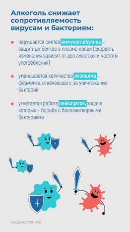 Алкоголь против иммунитета вертикаль 03
