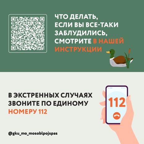Квадрат грибы 07.jpg
