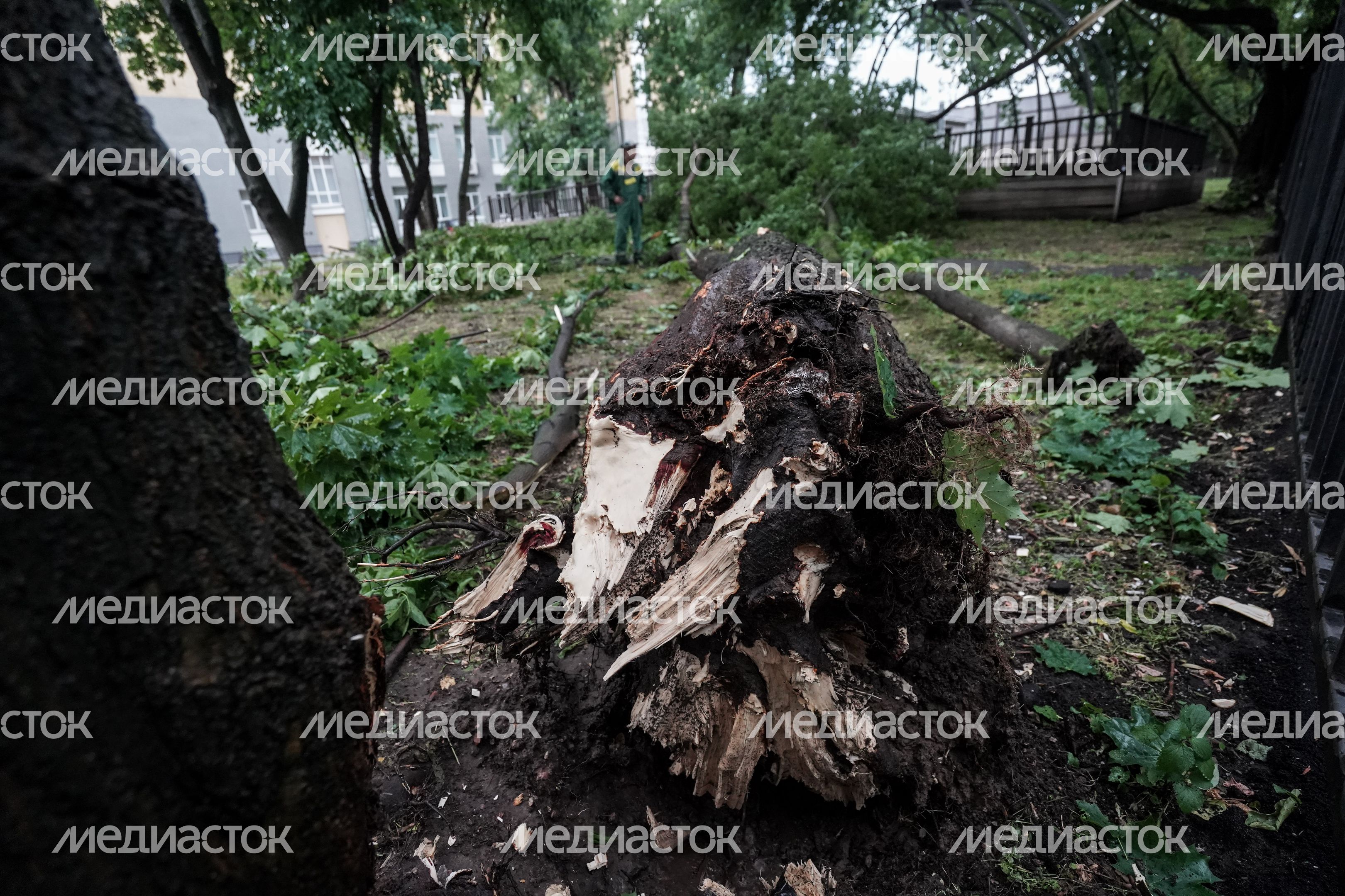 Последствия ливня в Москве Последствия ливня в Москве