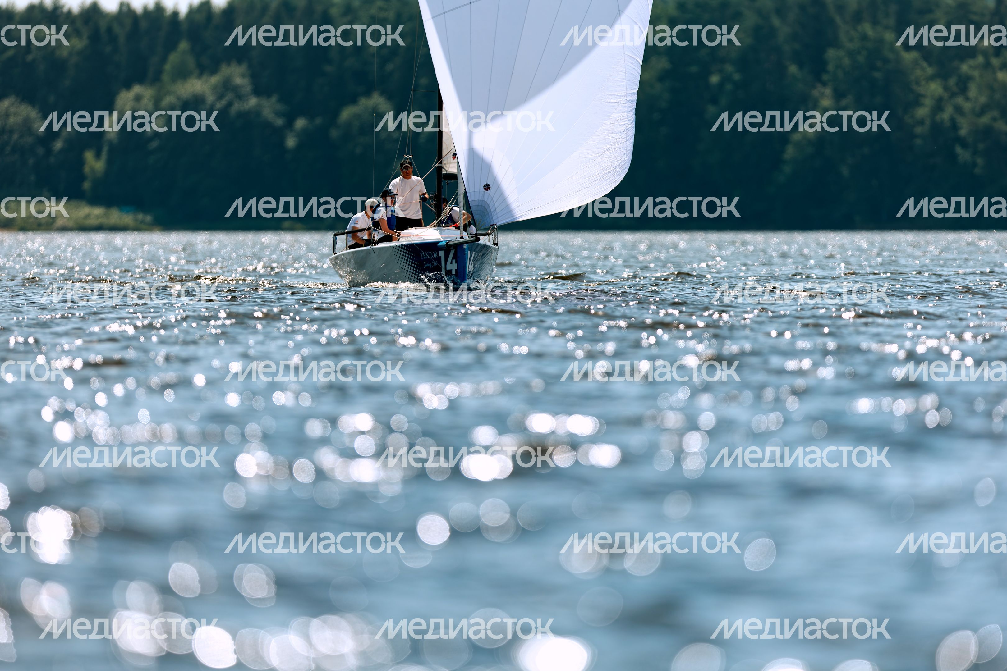 Парусная гонка Tenzor Elite Cup 2025 на Пестовском водохранилище в Мытищах Парусная гонка Tenzor Elite Cup 2025 на Пестовском водохранилище в Мытищах