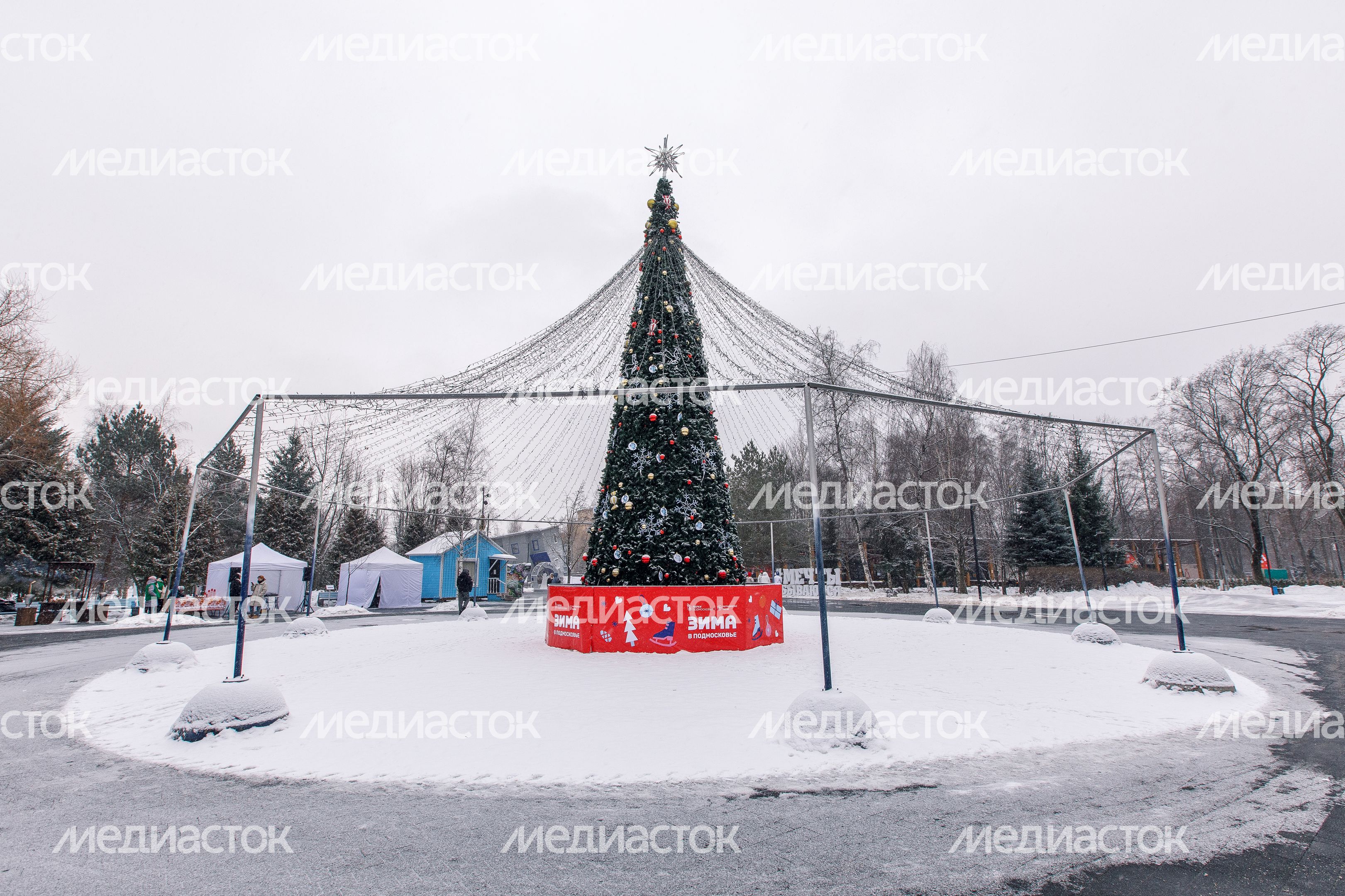Центральный парк культуры и отдыха «Парк Мира» в Мытищах Центральный парк культуры и отдыха «Парк Мира» в Мытищах