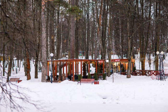 Красногорский городской парк зимой