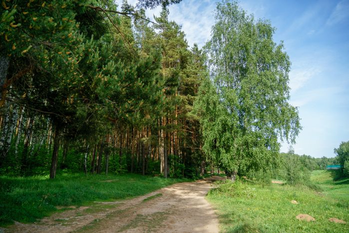 Парк "Городской лес" в Домодедово