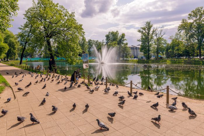 Парк Усадьбы Крафта в Королеве летом