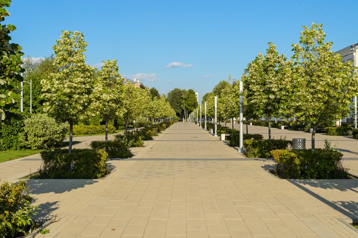 Королев. Сквер Покорителей космоса