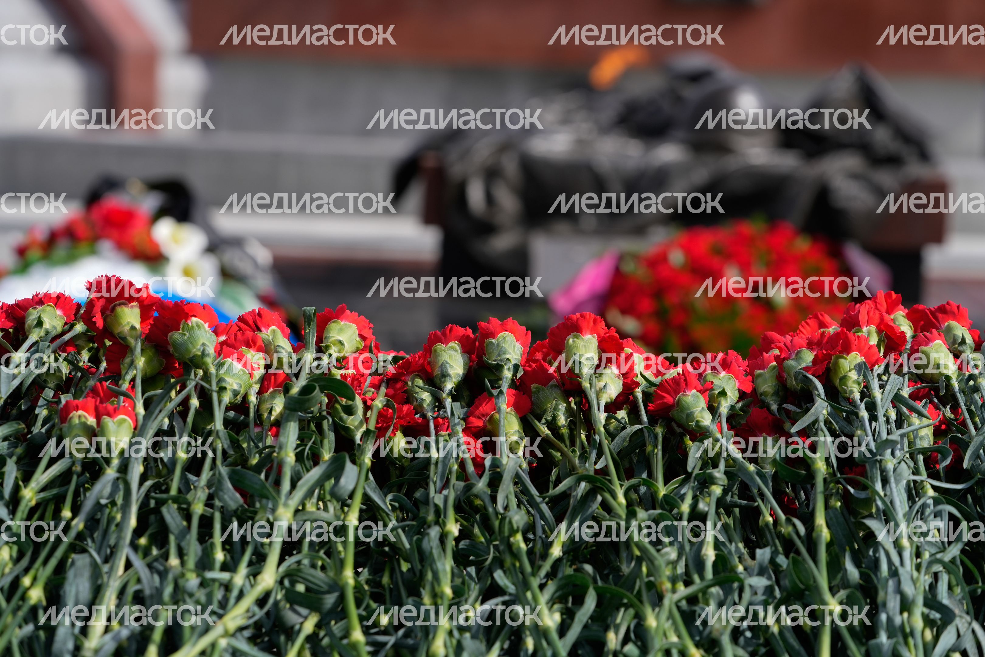 В Подмосковье стартовал поисковый сезон «Вахта памяти - 2024»