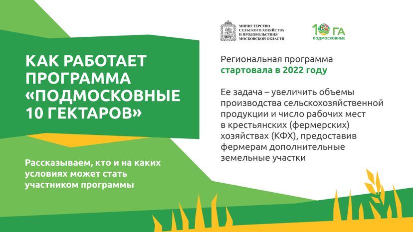  Подмосковные 10 гектаров