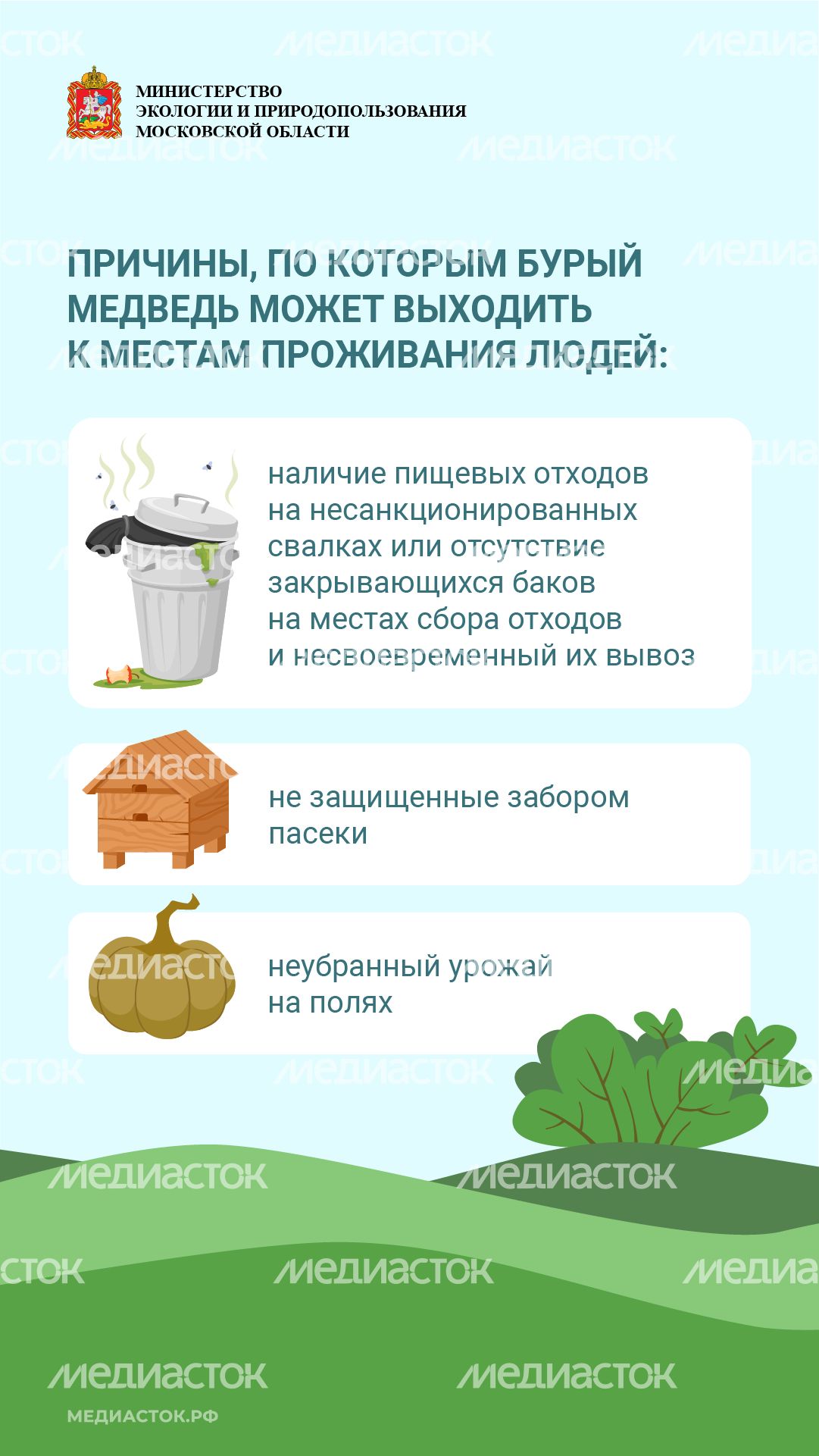 Медведь – сосед, которого нужно знать_вертикаль 06 Медведь – сосед, которого нужно знать_вертикаль 06