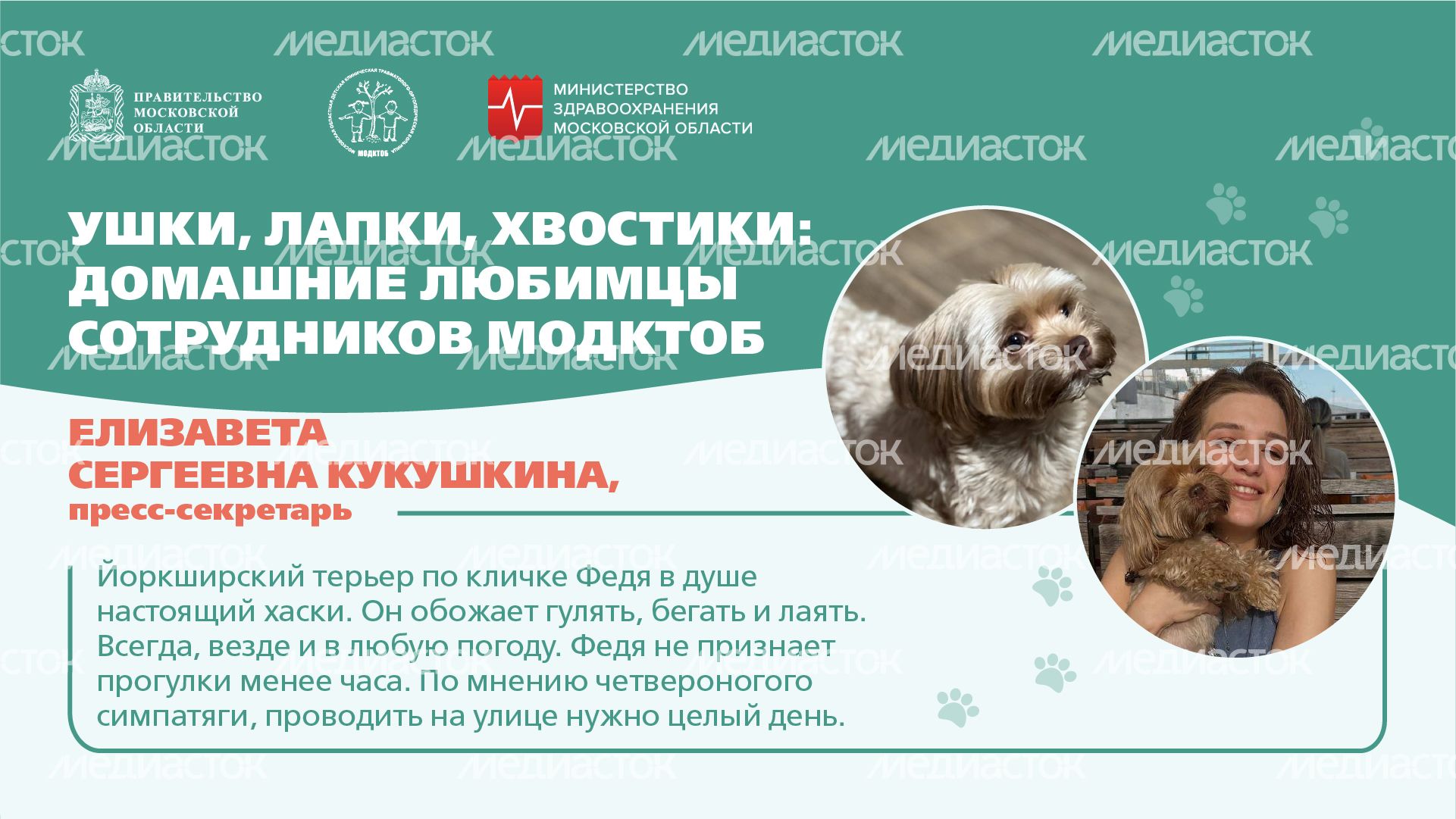Ушки, лапки, хвостики горизонталь 03 Ушки, лапки, хвостики горизонталь 03