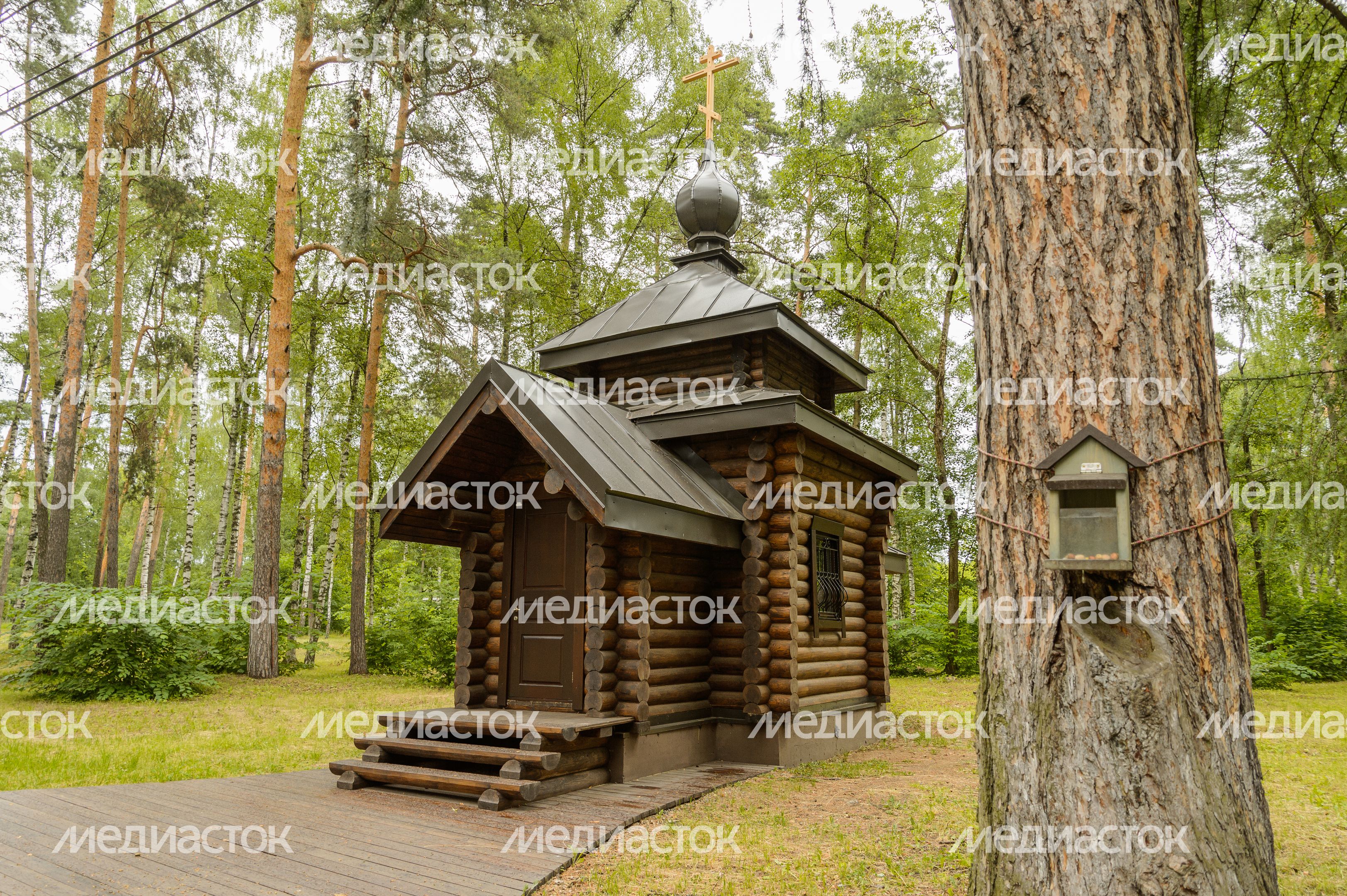 Глуховский парк (Дом-музей А. И. Морозова) Глуховский парк (Дом-музей А. И. Морозова)