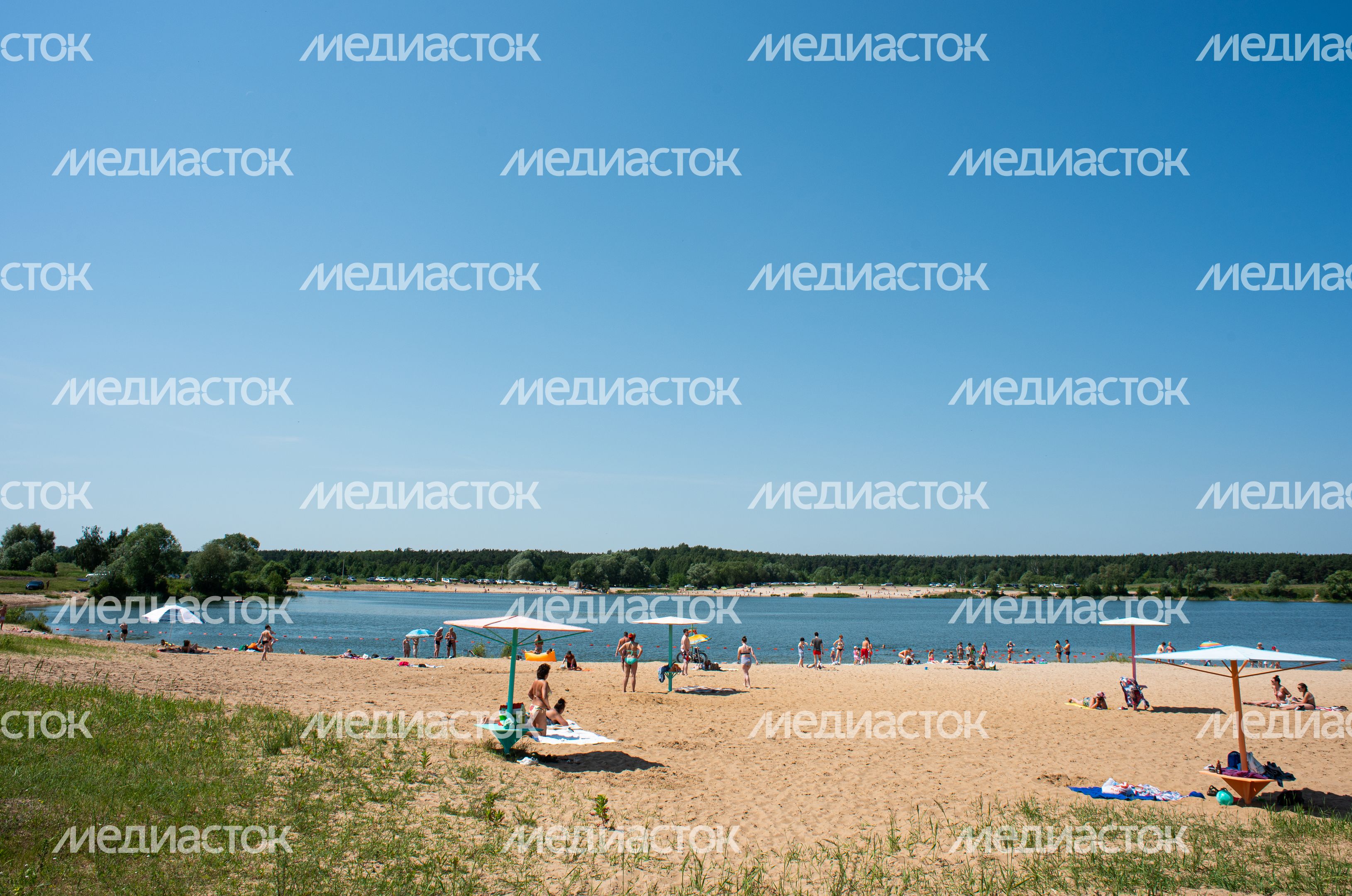 Летние виды Белопесоцкого карьера
