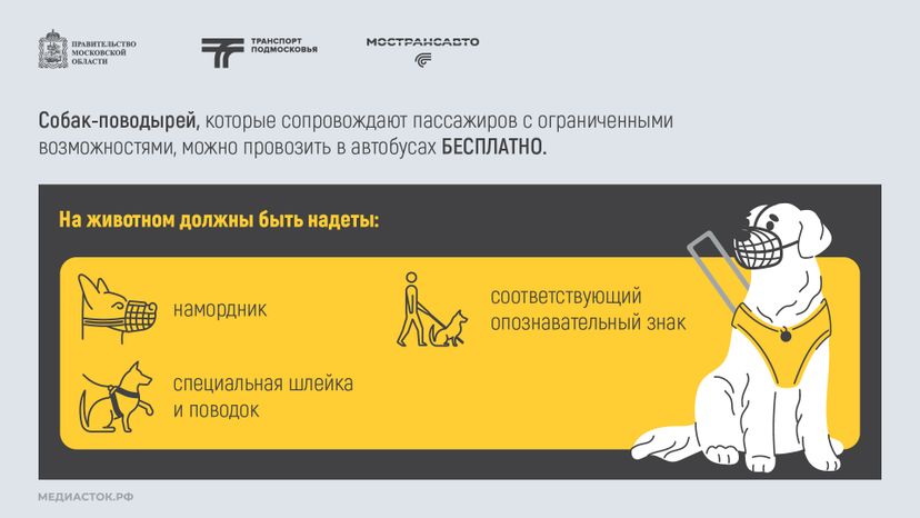 Правила перевозки животных горизонталь 03