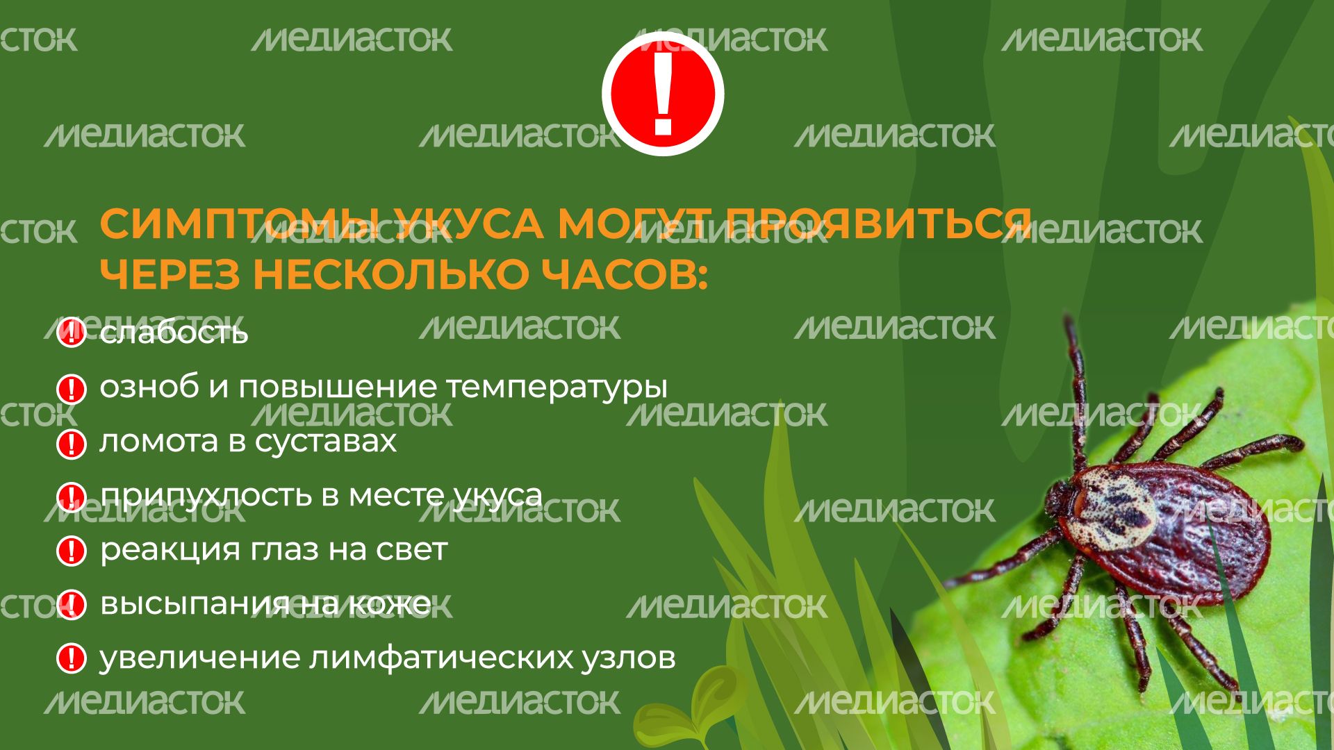 комлесхоз_клещи_гор_6