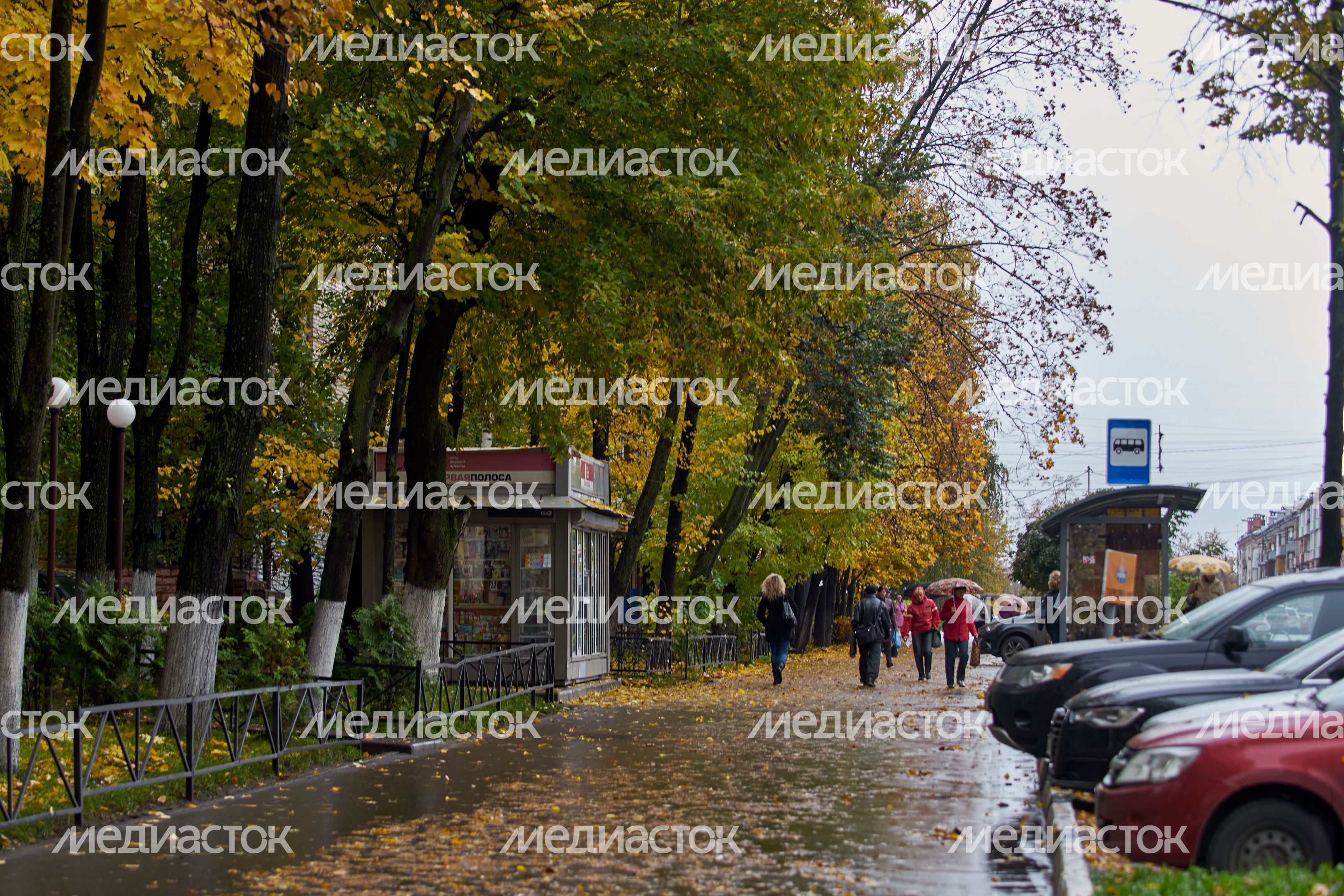 Осень в Подмосковье