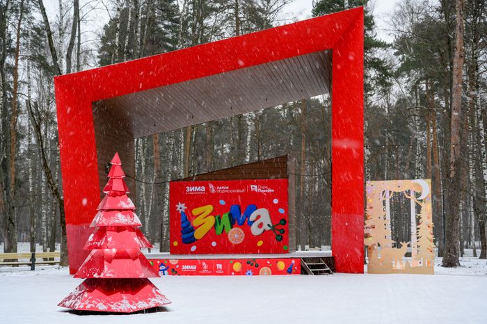Сцена в парке «Пехорка» в Балашихе зимой