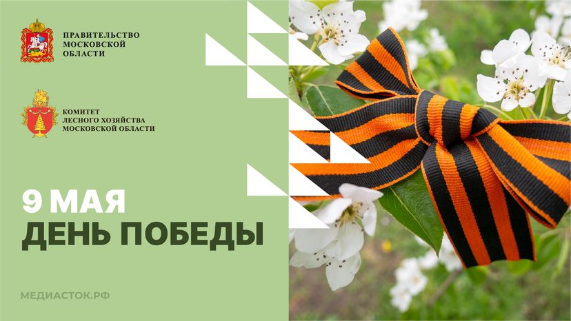 Открытка 9 мая 2026 1 Горизонталь 01