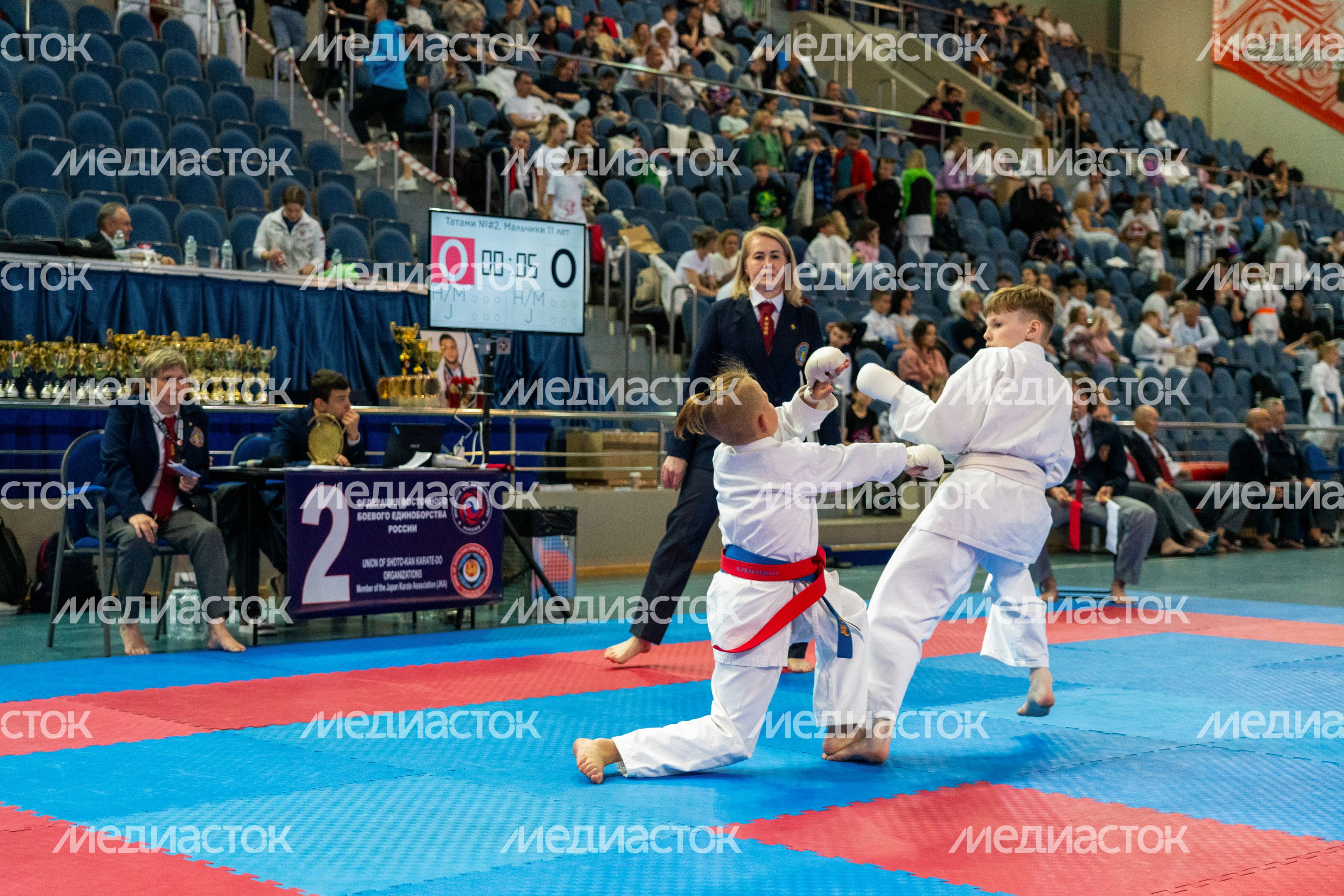 Чемпионат и Первенство России по восточному боевому единоборству сетокан в городе Видное Ленинского округа Чемпионат и Первенство России по восточному боевому единоборству сетокан в городе Видное Ленинского округа