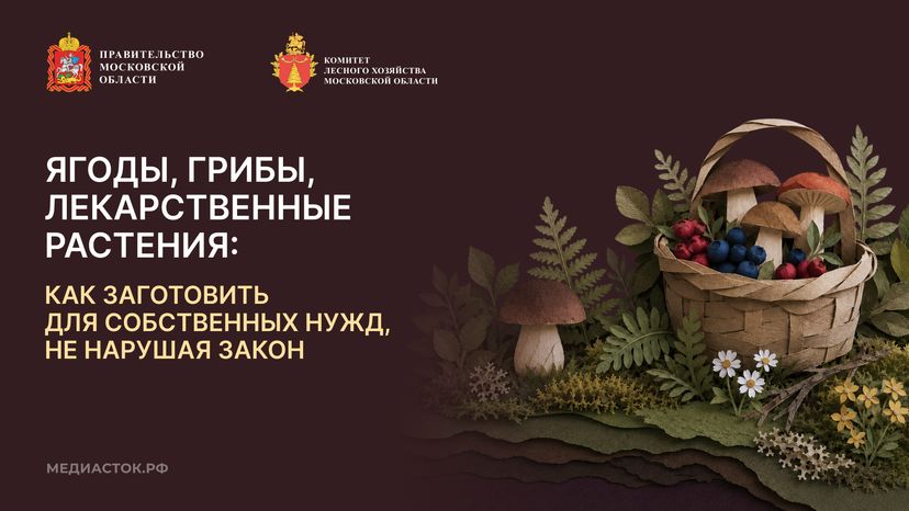 Ягоды, грибы, лекарственные растения горизонталь 01