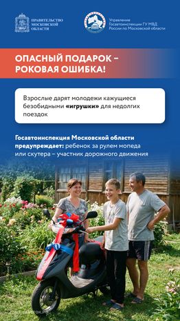 Дача территория безопасности 2026 Вертикаль 03