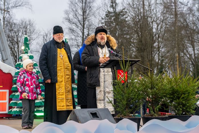 Главную новогоднюю елку страны спилили в Рузском округе