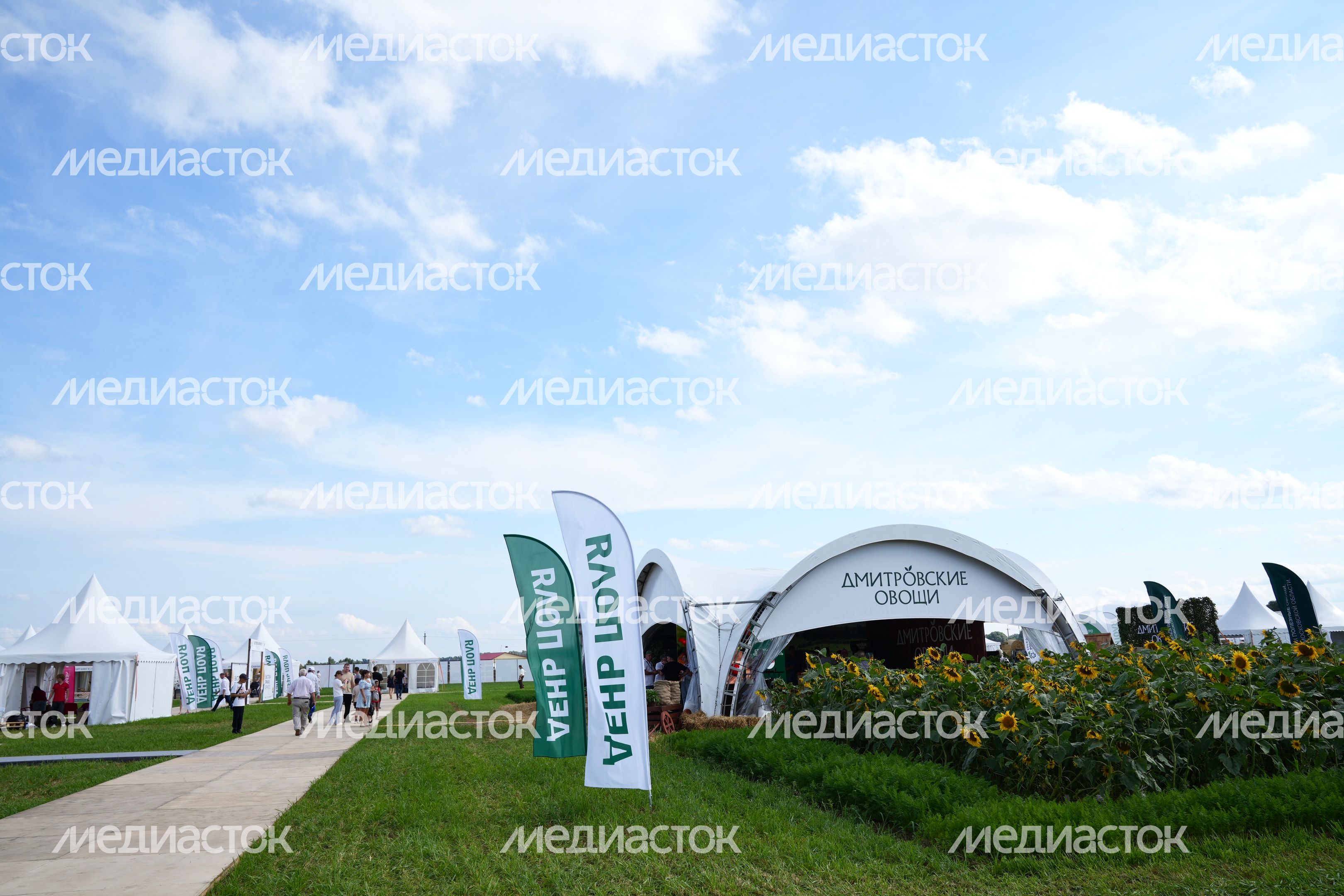 Агропромышленная выставка "День поля Московской области" в Дмитровском округе