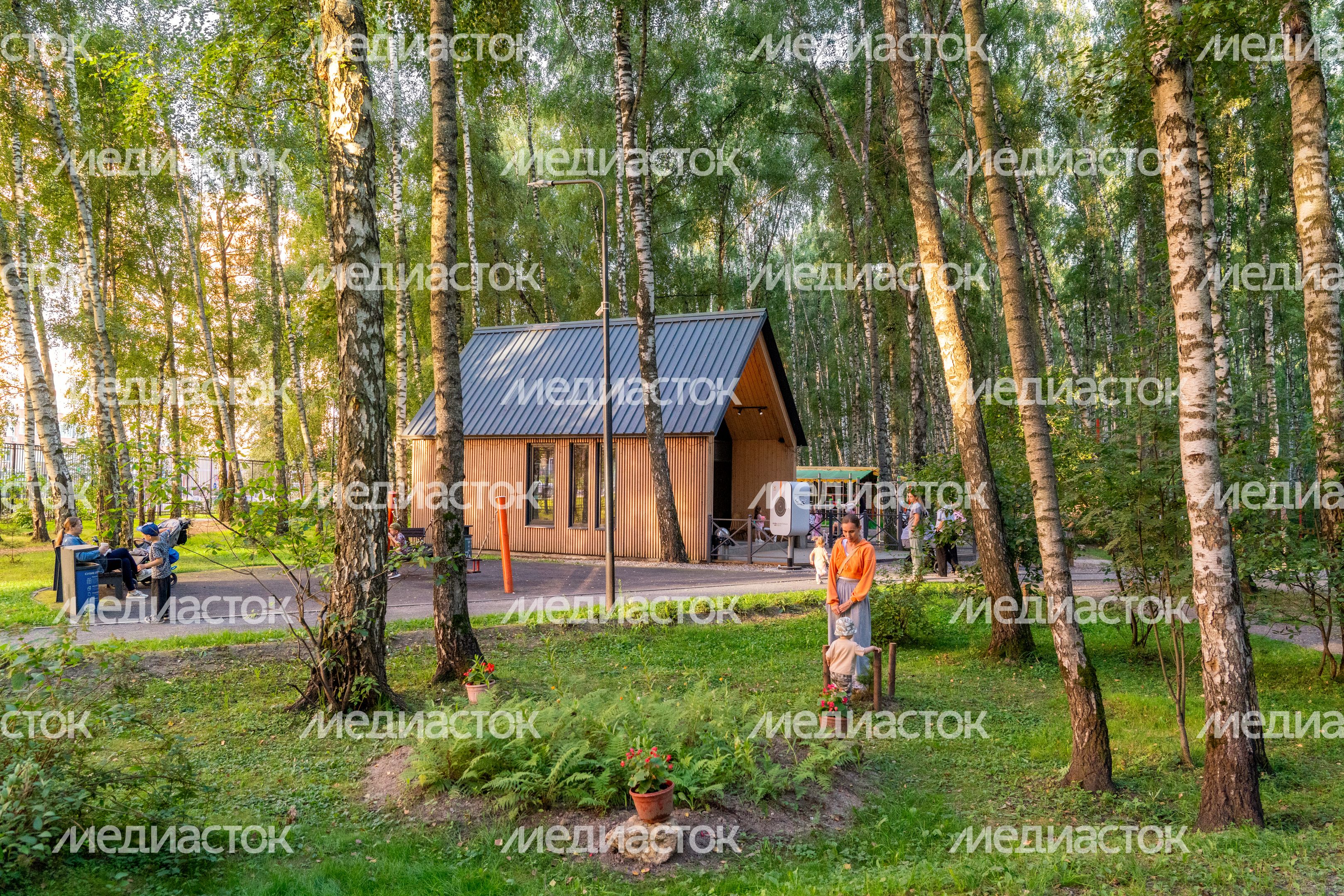Лето в лесопарке «Городской лес» в Домодедово