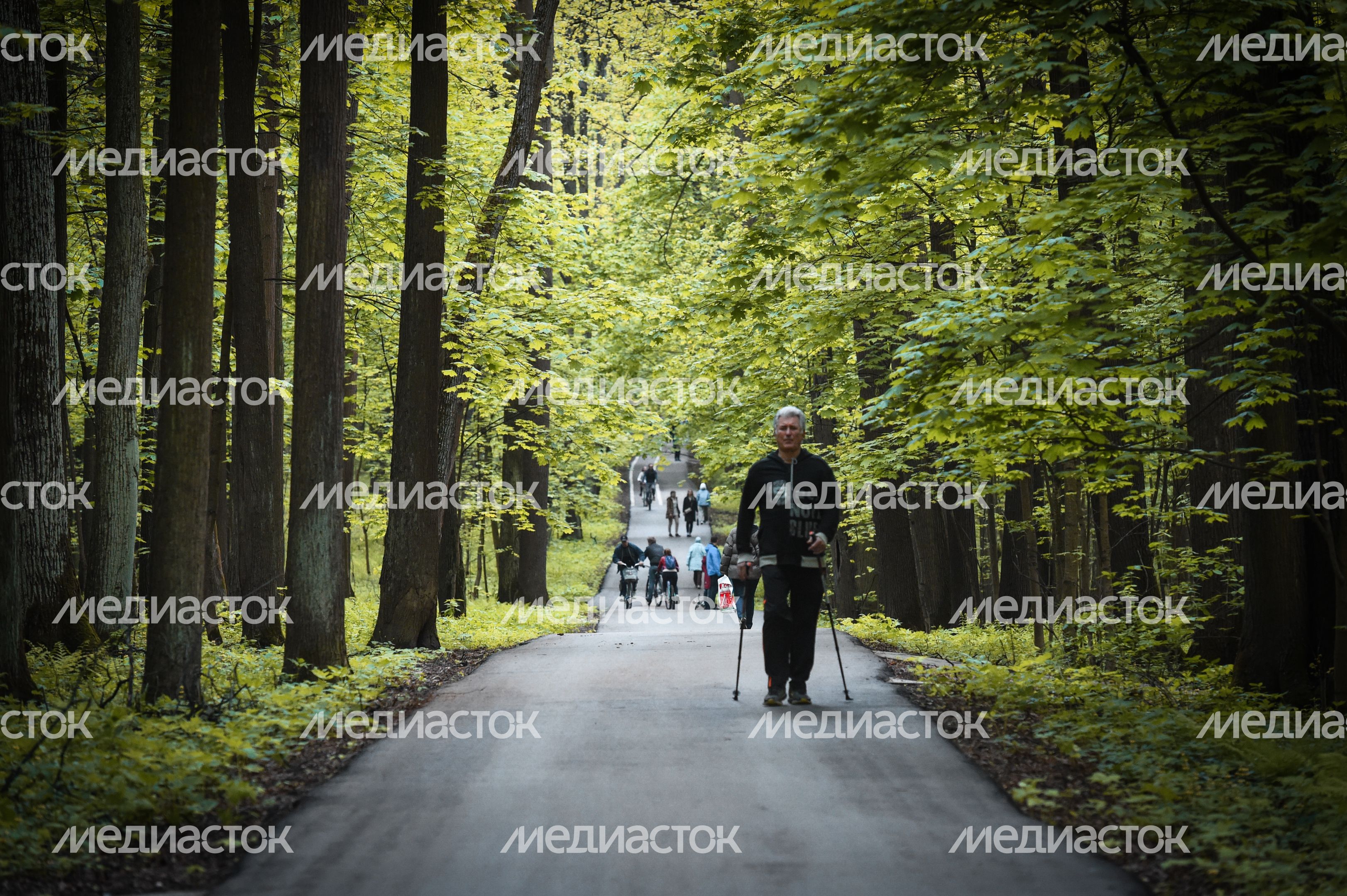 Повседневная жизнь в Москве в период цветения