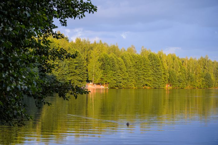 Горокруг Черноголовка. Летние виды реки Черноголовки