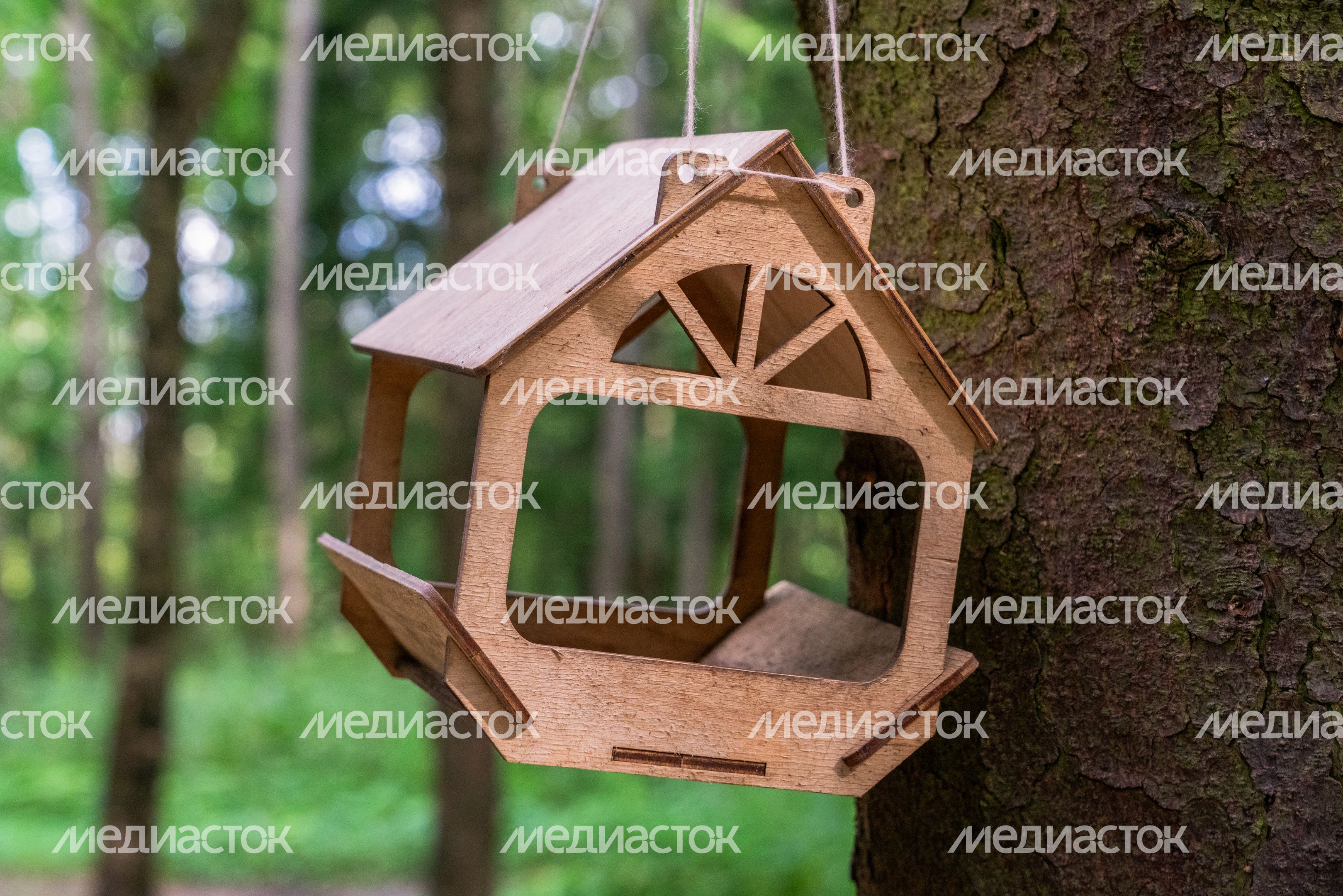 Лобненский лесопарк летом 2026 года Лобненский лесопарк летом 2026 года