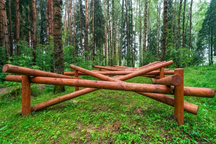Полоса препятствий для спортсменов в лесопарке «Талицкий лес» летом в Клину
