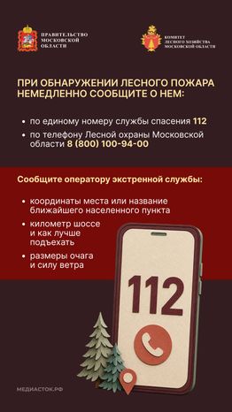 Живете рядом с лесом вертикаль 08