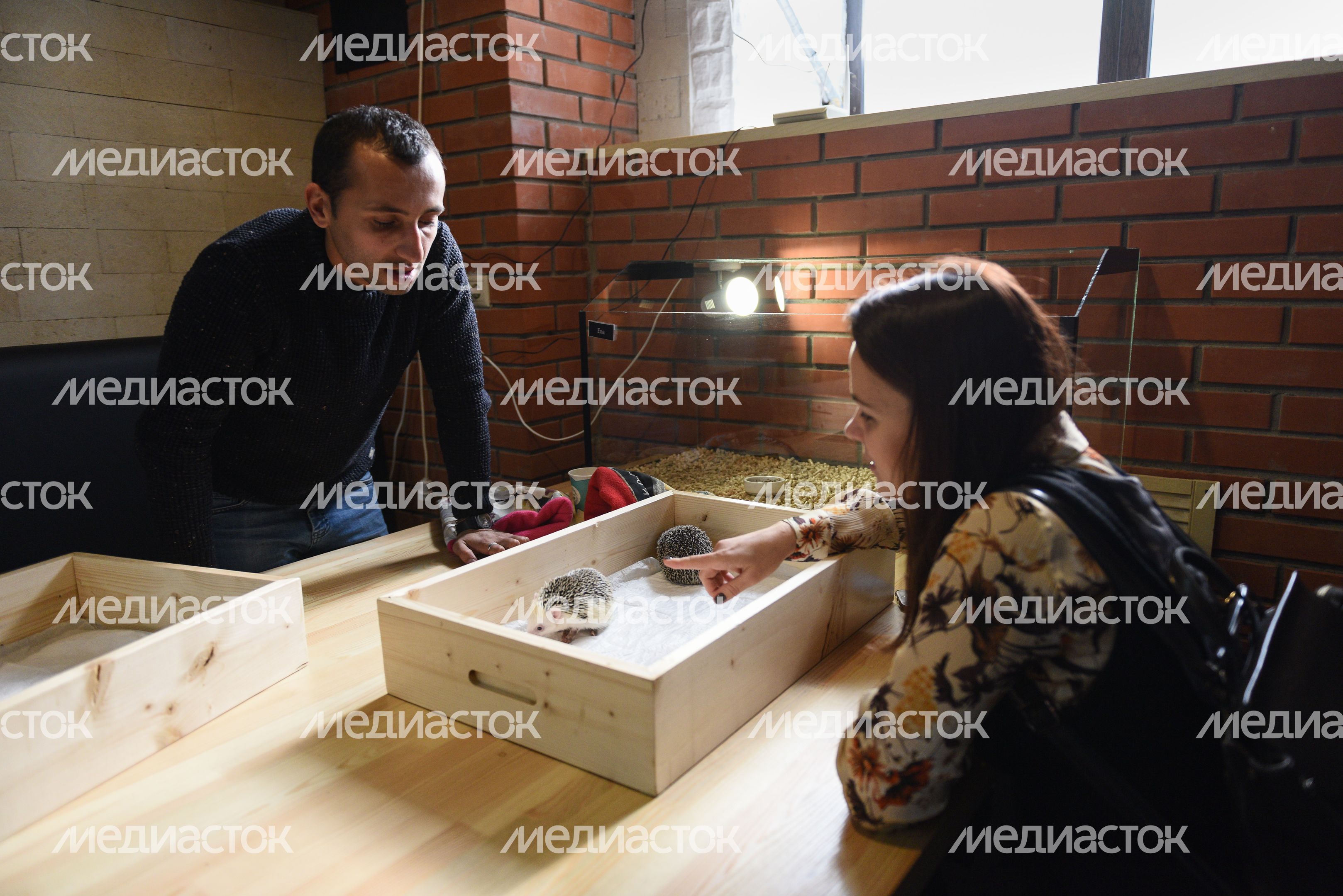 Кафе «Ежеминутка»