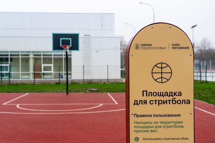 Площадка для стритбола в парке «Питомник» в Серпухове осенью