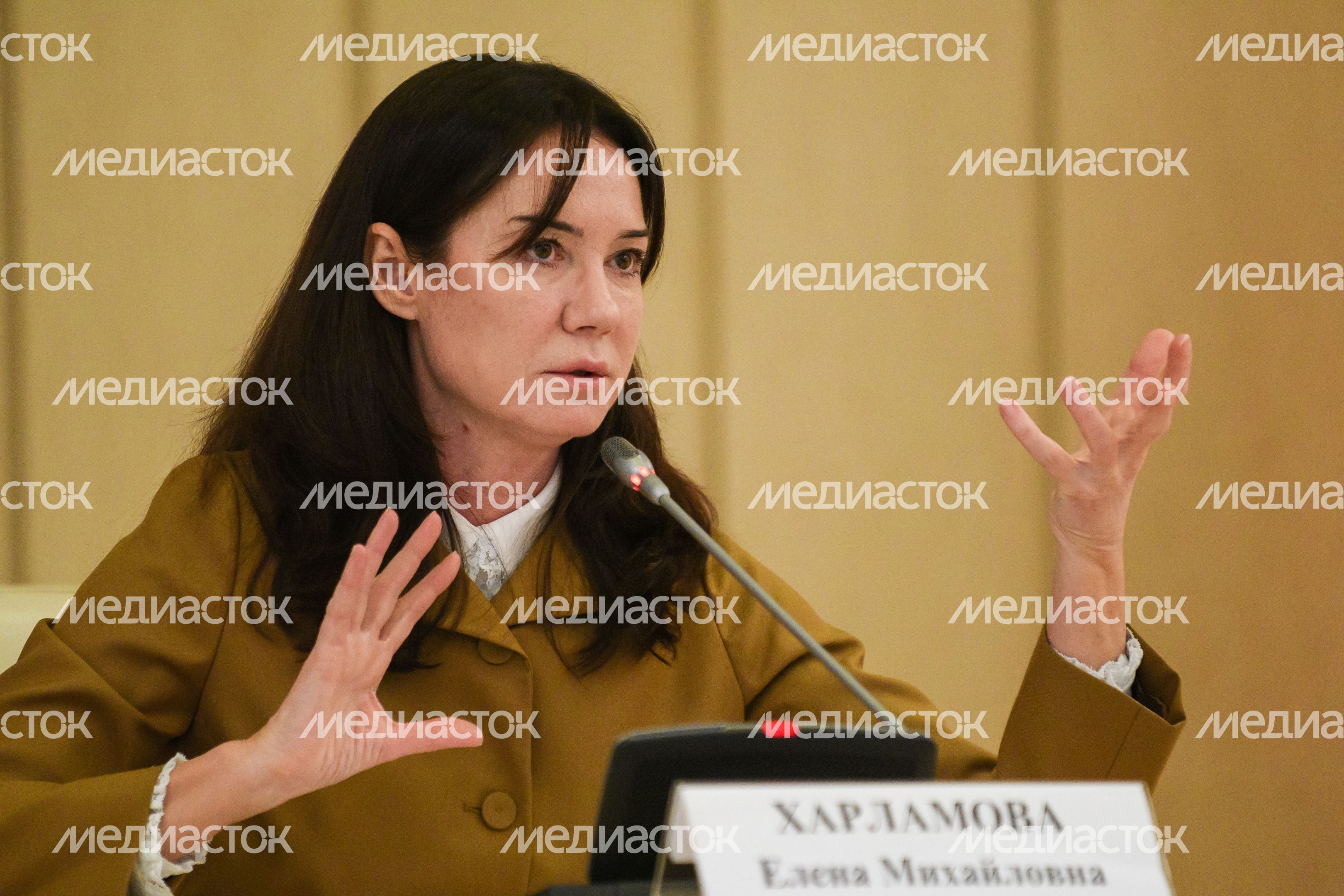 Брифинг министра культуры Московской области по итогам 2020 года Брифинг министра культуры Московской области по итогам 2020 года