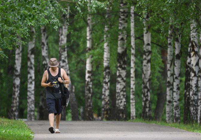 Парк 50-летия Октября в Москве